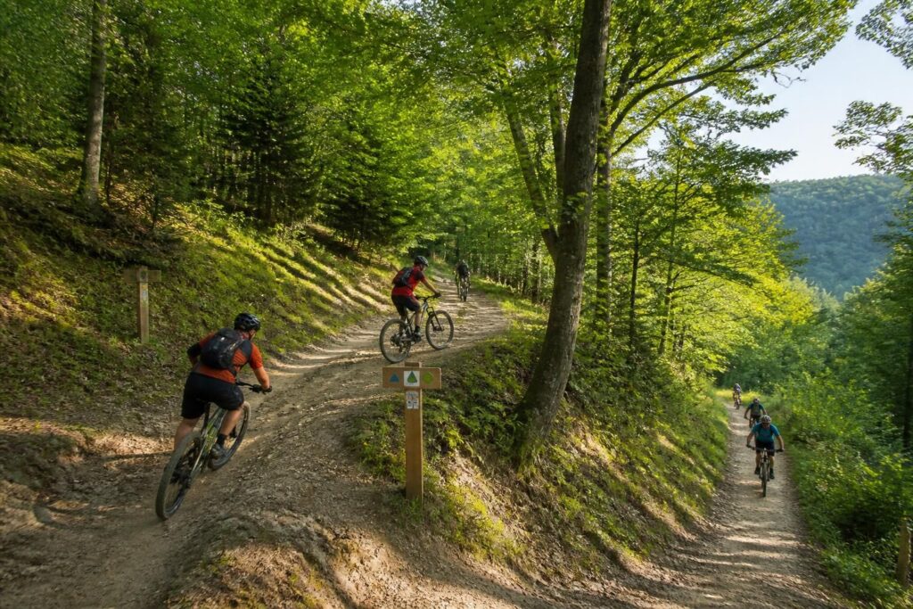 découvrez les meilleurs circuits balisés pour faire du vtt dans le morvan, adaptés à tous les niveaux, pour une aventure nature inoubliable.